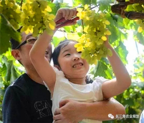 國家大力支持發(fā)展的“田園綜合體”是什么？怎么搞？(圖5)
