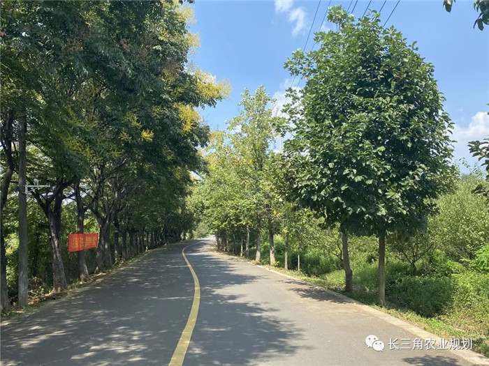 為了幫助園區(qū)的提檔升級，南京市農(nóng)業(yè)農(nóng)村局特委托中農(nóng)富通編制《南京市農(nóng)業(yè)園區(qū)發(fā)展研究報告》，以期從產(chǎn)業(yè)發(fā)展路徑、園區(qū)發(fā)展模式、保障措施等多維度為南京市農(nóng)業(yè)園區(qū)未來三年的發(fā)展做統(tǒng)籌謀劃。 8月19日，中農(nóng)(圖8)
