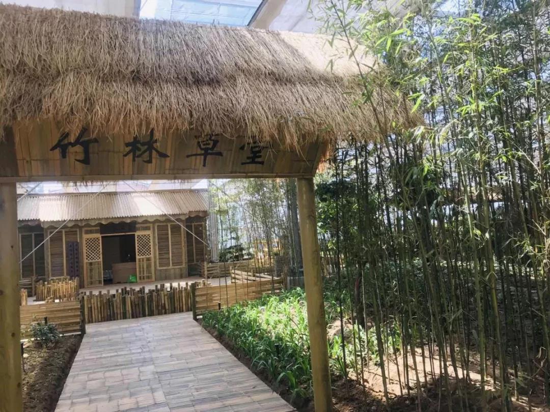 微信圖片_20190621093525.jpg