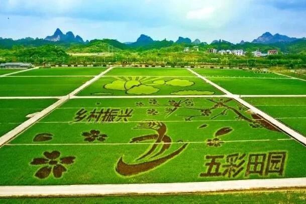 微信圖片_20200522095753.jpg
