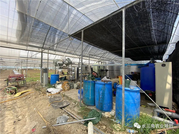 為了幫助園區(qū)的提檔升級，南京市農(nóng)業(yè)農(nóng)村局特委托中農(nóng)富通編制《南京市農(nóng)業(yè)園區(qū)發(fā)展研究報告》，以期從產(chǎn)業(yè)發(fā)展路徑、園區(qū)發(fā)展模式、保障措施等多維度為南京市農(nóng)業(yè)園區(qū)未來三年的發(fā)展做統(tǒng)籌謀劃。 8月19日，中農(nóng)(圖5)