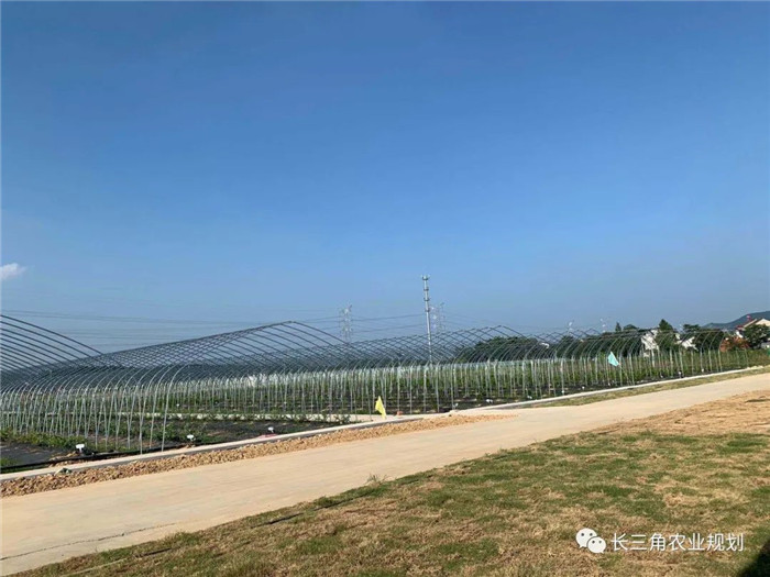 為了幫助園區(qū)的提檔升級，南京市農(nóng)業(yè)農(nóng)村局特委托中農(nóng)富通編制《南京市農(nóng)業(yè)園區(qū)發(fā)展研究報告》，以期從產(chǎn)業(yè)發(fā)展路徑、園區(qū)發(fā)展模式、保障措施等多維度為南京市農(nóng)業(yè)園區(qū)未來三年的發(fā)展做統(tǒng)籌謀劃。 8月19日，中農(nóng)(圖21)