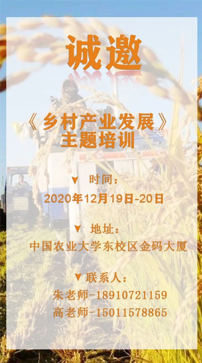 1-20120315441DH.jpg