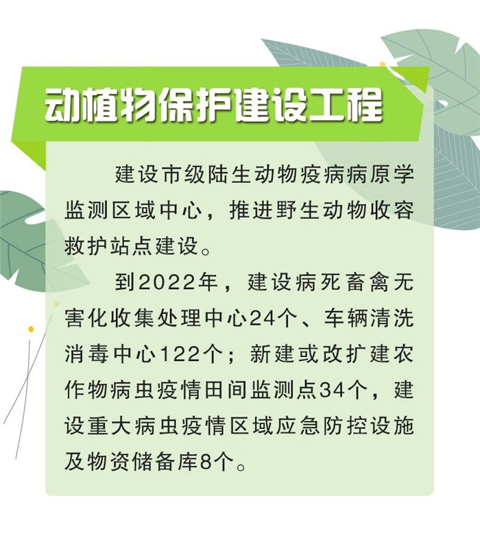 【安徽】(圖4)