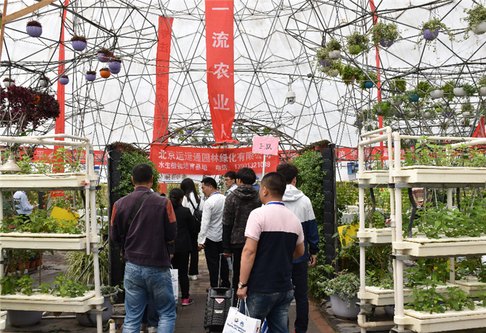 喜報！第九屆北京（通州）國際都市農業(yè)科技節(jié)榮獲“特色展示設計展會”稱號(圖7)